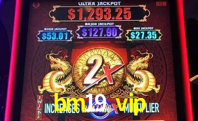 A Experiência Imersiva dos Cassinos Ao Vivo no bm19 vip